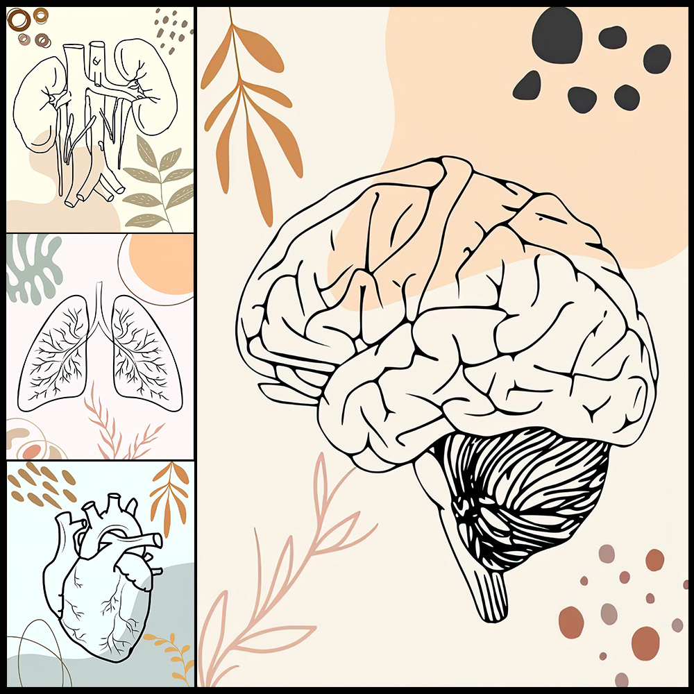 인간 해부학 과학 뇌 보육 생물학 포스터 벽 아트 캔버 - Science Nursery 리뷰 및 가격