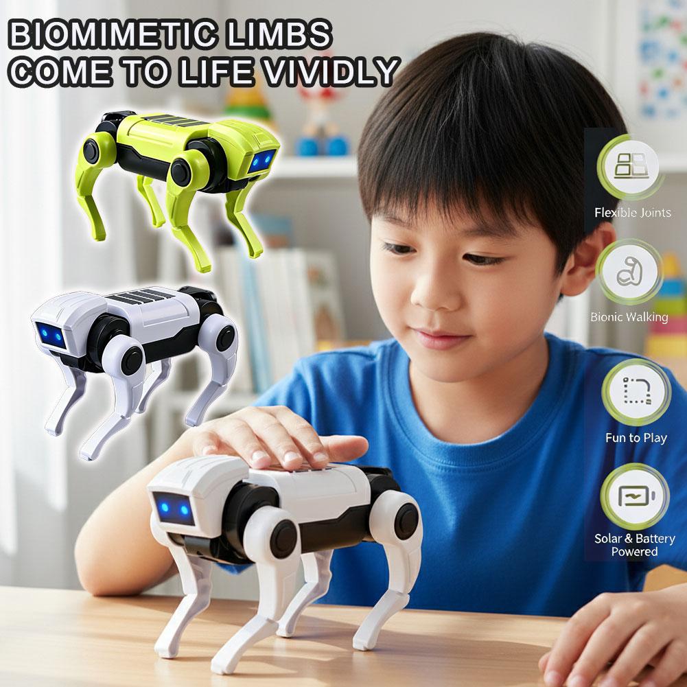 1-10개 DIY 조립 RC 로봇 강아지 장난감, 원격 - Science Project Robot 리뷰 및 가격